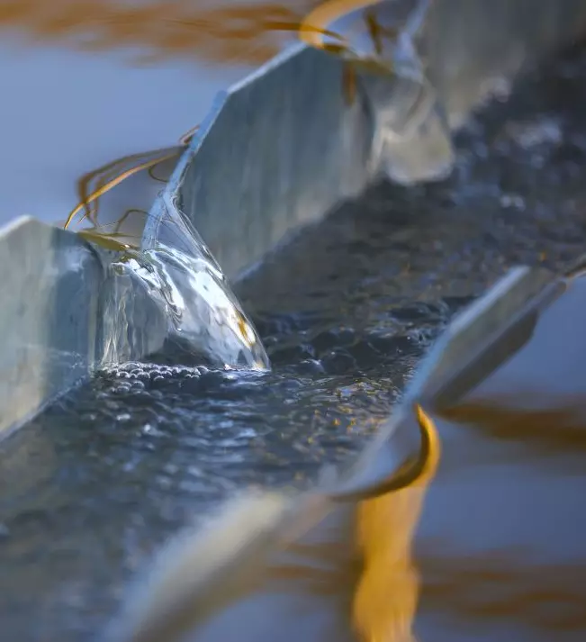 water solutions fandb